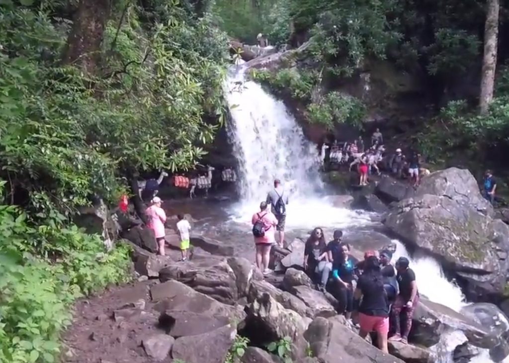 Grotto Falls - Beautiful and Easy