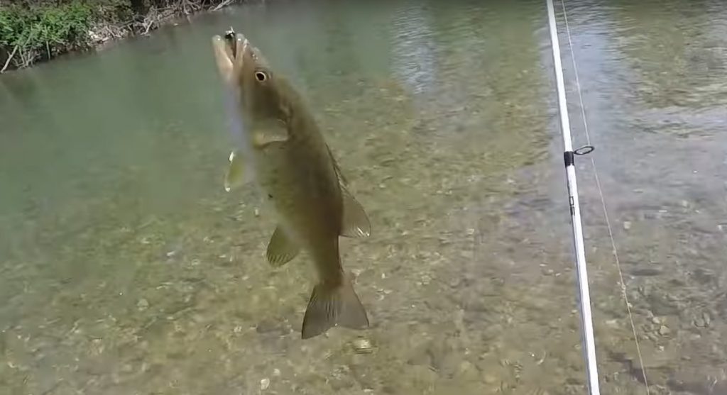 Fishing Trip in the Smoky Mountains