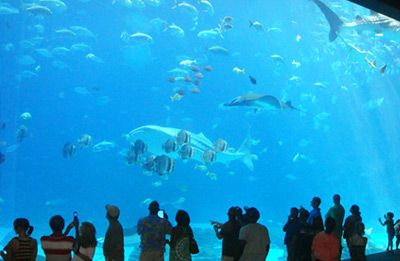 Ripleys Aquarium image