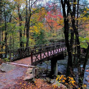 The Gatlinburg Trail - Easy and Close